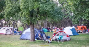 460435913_1018385446964190_5763875490897448061_n