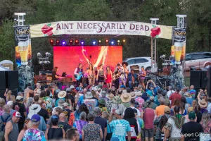 RUPERT COLES MOONALICE ANDF 2024_1